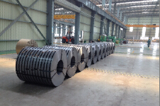 閰告(gao)礂(xi)甯(ning)﹂挗(jue)